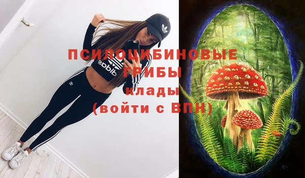 дмт Алексеевка
