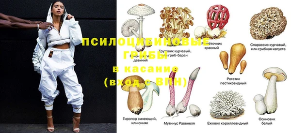 гашик Алзамай